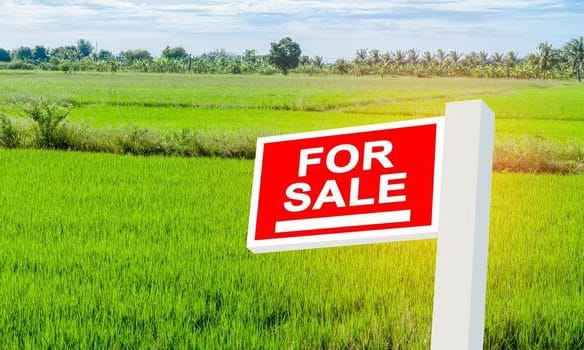 real estate agents and properties for sale and for rent near me